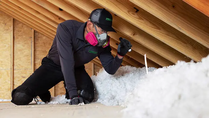 Inspector in a respirator using a flashlight to check attic insulation for mold and moisture damage
