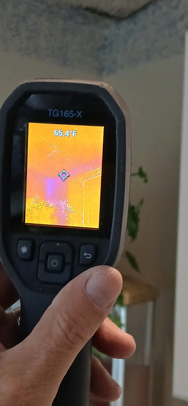 Inspector scanning a ceiling with a handheld infrared camera to trace a roof leak